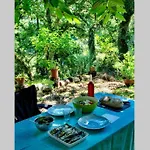 Quinta Biológica, Com Vista, Na Serra De *