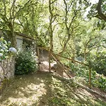 Apartamento Quinta Biológica, Com Vista, Na Serra De
