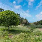 Quinta Biologica, Com Vista, Na Serra De *