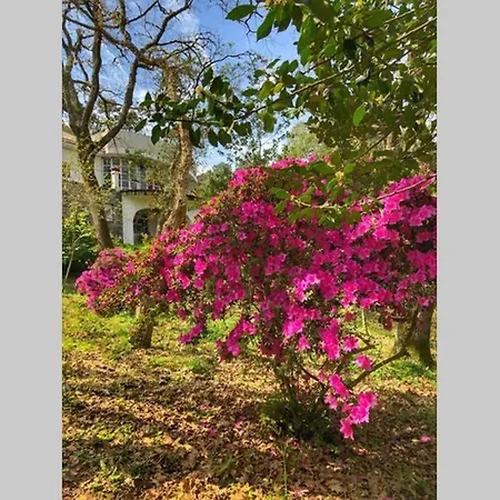 Quinta Biologica, Com Vista, Na Serra De