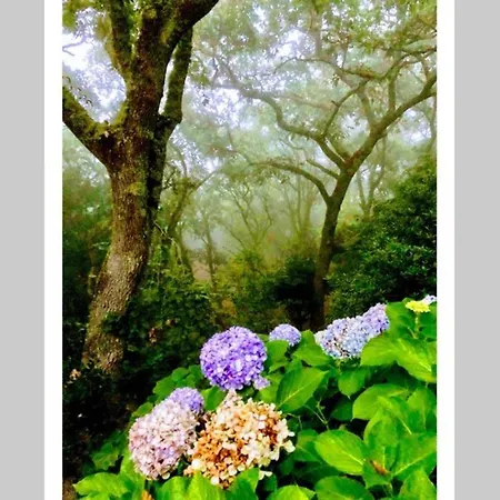 Apartamento Quinta Biológica, Com Vista, Na Serra De Sintra