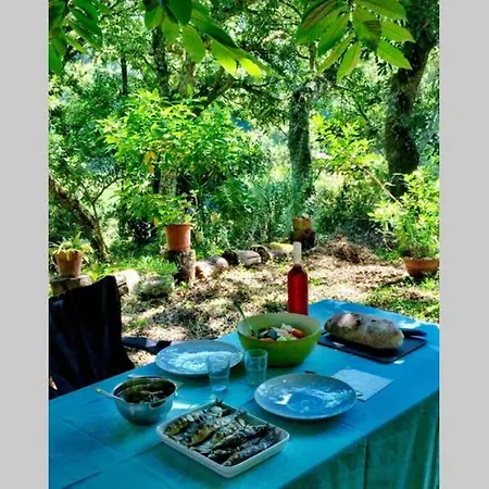 Quinta Biologica, Com Vista, Na Serra De *