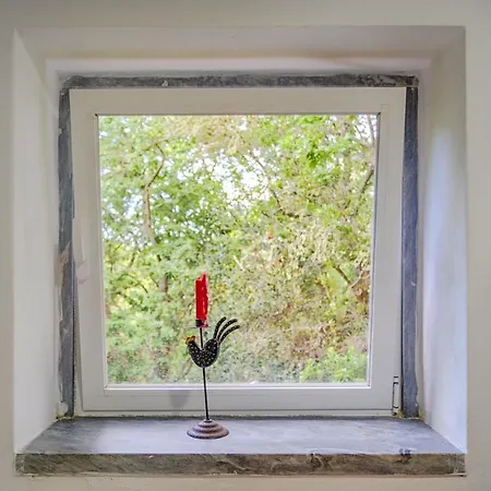 Quinta Biologica, Com Vista, Na Serra De *