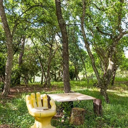 Quinta Biologica, Com Vista, Na Serra De Appartement *