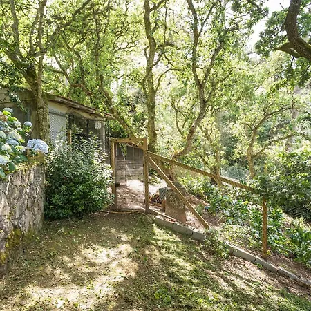 Apartment Quinta Biologica, Com Vista, Na Serra De