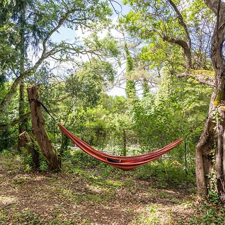 Quinta Biologica, Com Vista, Na Serra De Appartement *