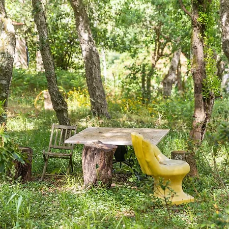 Apartamento Quinta Biológica, Com Vista, Na Serra De *