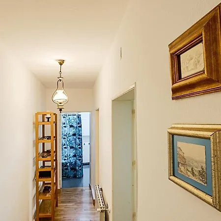 Quinta Biológica, Com Vista, Na Serra De Apartamento