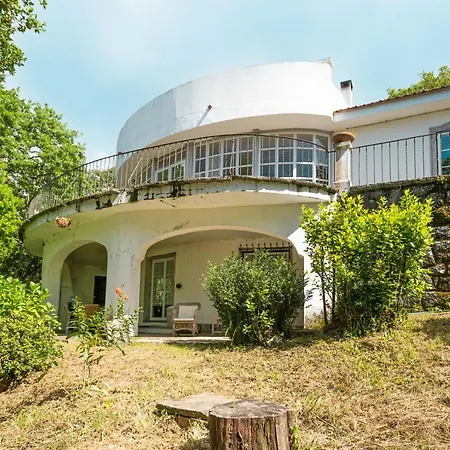 Quinta Biologica, Com Vista, Na Serra De * Sintra