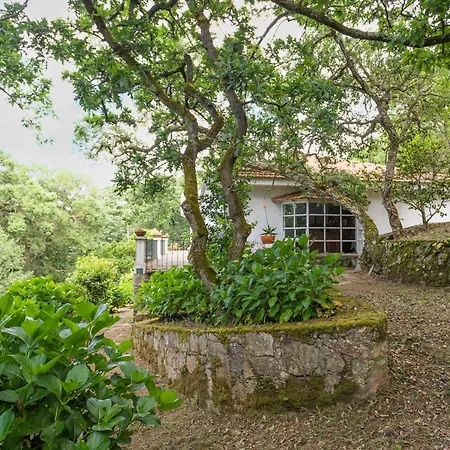 Quinta Biológica, Com Vista, Na Serra De Apartamento