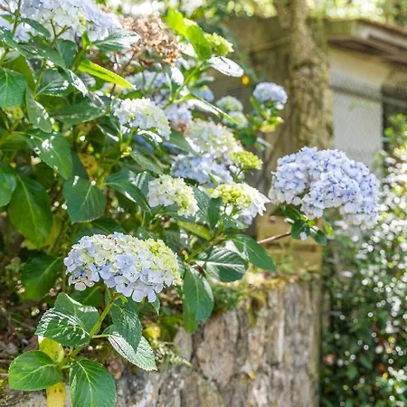Quinta Biológica, Com Vista, Na Serra De Apartamento