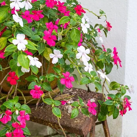 Quinta Biologica, Com Vista, Na Serra De Apartmán Sintra