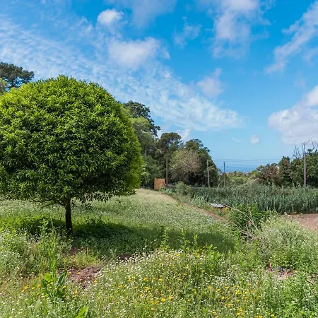 Quinta Biologica, Com Vista, Na Serra De *