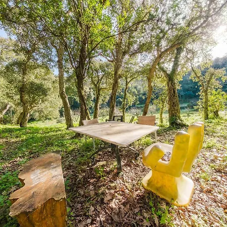 Apartment Quinta Biologica, Com Vista, Na Serra De