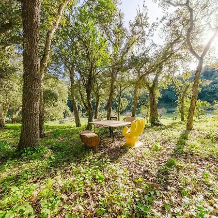 Quinta Biologica, Com Vista, Na Serra De Appartement