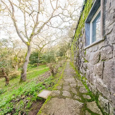 Quinta Biologica, Com Vista, Na Serra De Sintra