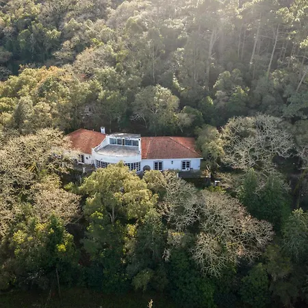 Quinta Biologica, Com Vista, Na Serra De Appartement