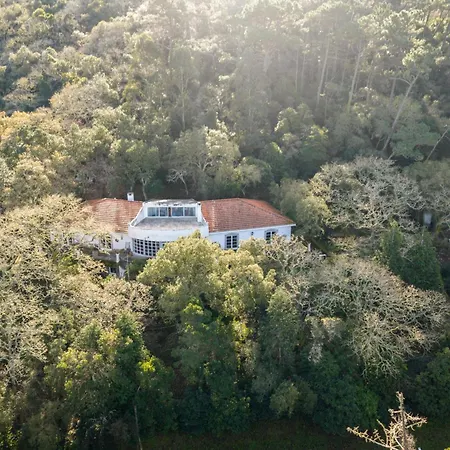Quinta Biologica, Com Vista, Na Serra De Apartment *