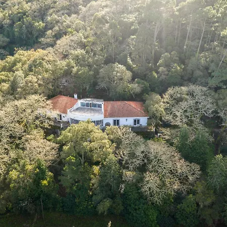 Quinta Biologica, Com Vista, Na Serra De Sintra