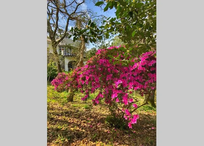 Quinta Biologica, Com Vista, Na Serra De