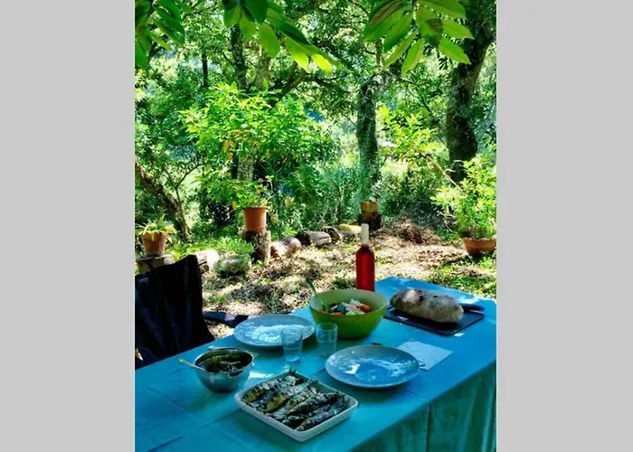 Quinta Biologica, Com Vista, Na Serra De *
