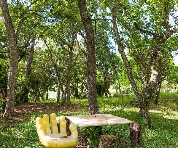 Quinta Biologica, Com Vista, Na Serra De 아파트 *