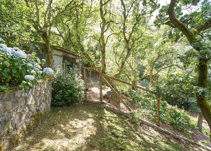 Apartament Quinta Biologica, Com Vista, Na Serra De