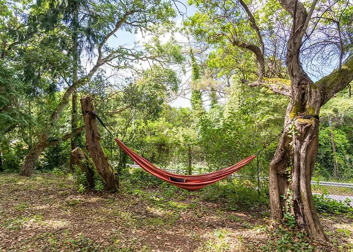 Quinta Biologica, Com Vista, Na Serra De Apartament *