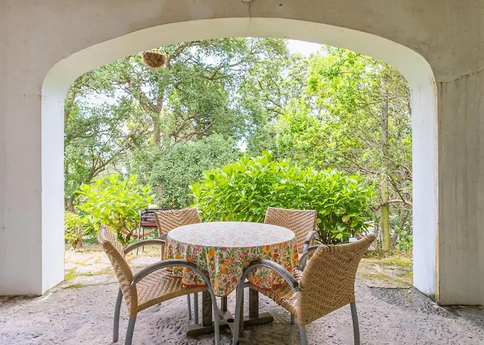 Apartament Quinta Biologica, Com Vista, Na Serra De *