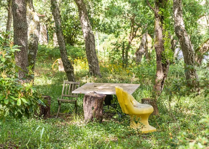 아파트 Quinta Biologica, Com Vista, Na Serra De *