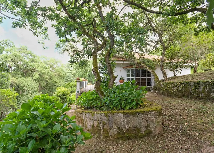 Quinta Biologica, Com Vista, Na Serra De 아파트