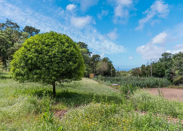 Quinta Biologica, Com Vista, Na Serra De *