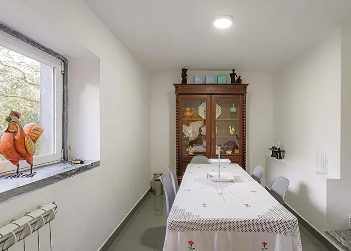 Quinta Biologica, Com Vista, Na Serra De