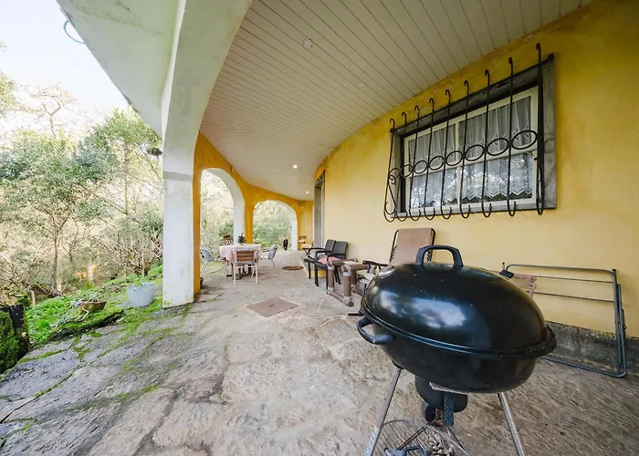 Quinta Biologica, Com Vista, Na Serra De 아파트 *