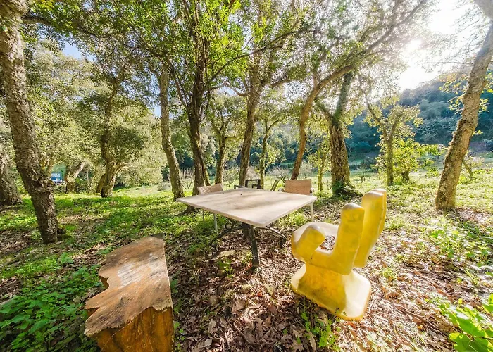 아파트 Quinta Biologica, Com Vista, Na Serra De