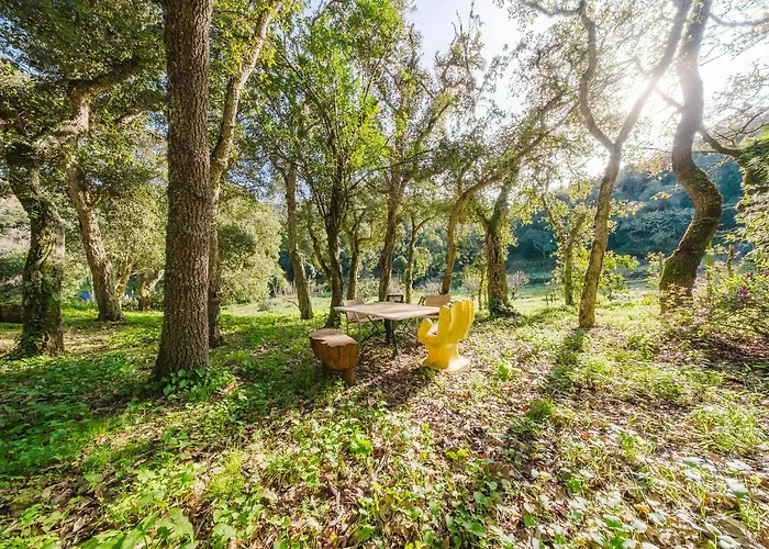 Quinta Biologica, Com Vista, Na Serra De 아파트