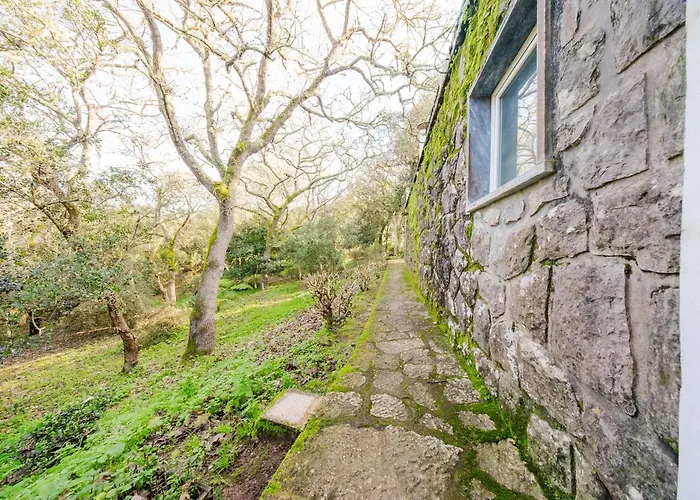 Quinta Biologica, Com Vista, Na Serra De Sintra