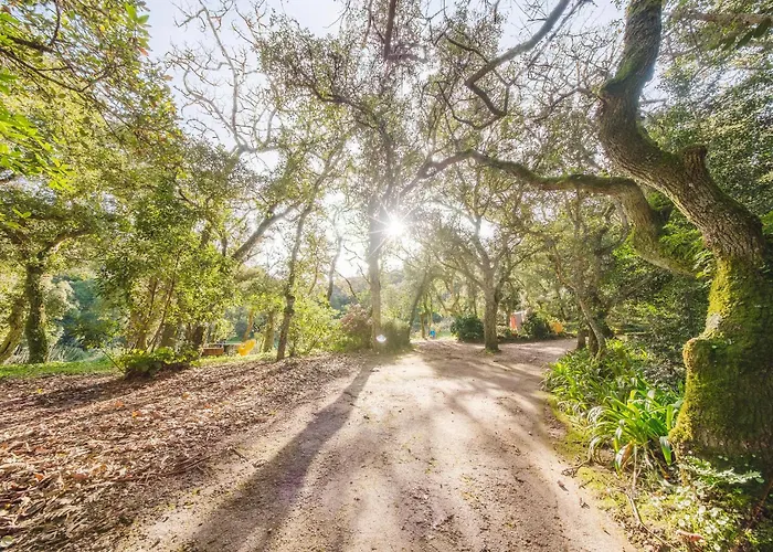 아파트 Quinta Biologica, Com Vista, Na Serra De