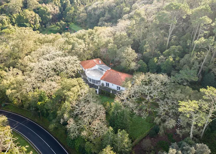Quinta Biologica, Com Vista, Na Serra De 아파트 *