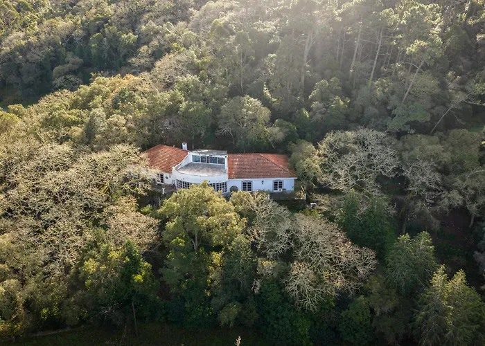 Quinta Biologica, Com Vista, Na Serra De 아파트