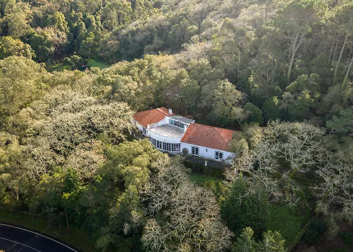 Quinta Biologica, Com Vista, Na Serra De 아파트 *