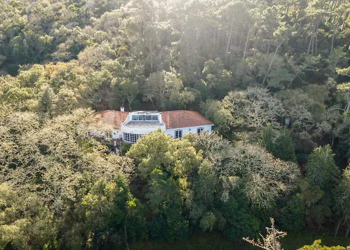 Quinta Biologica, Com Vista, Na Serra De 아파트 *