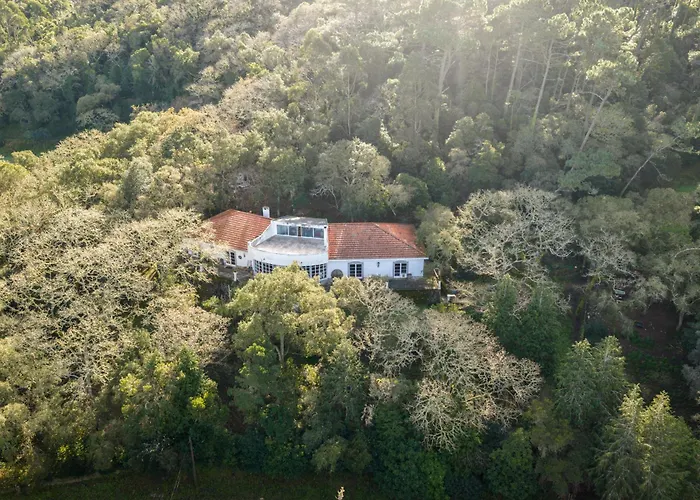 Quinta Biologica, Com Vista, Na Serra De Sintra